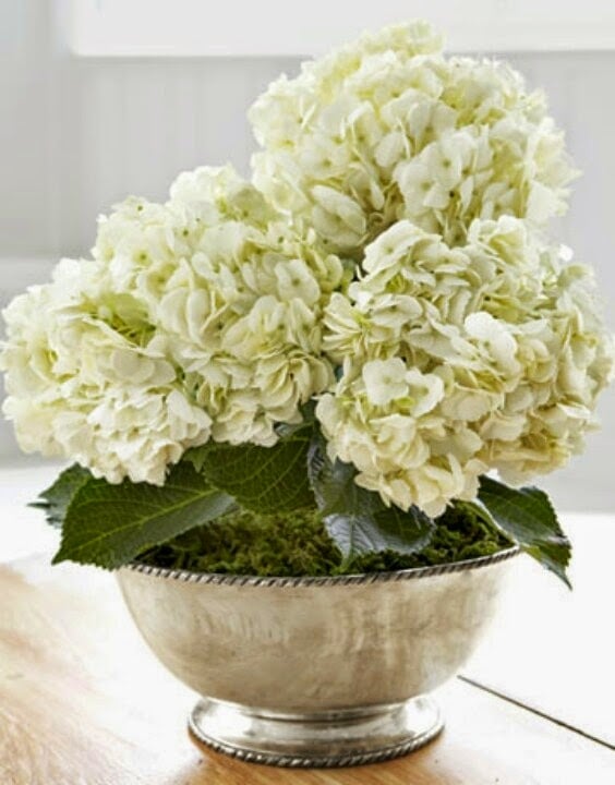 hydrangeas-white-silver-bowl