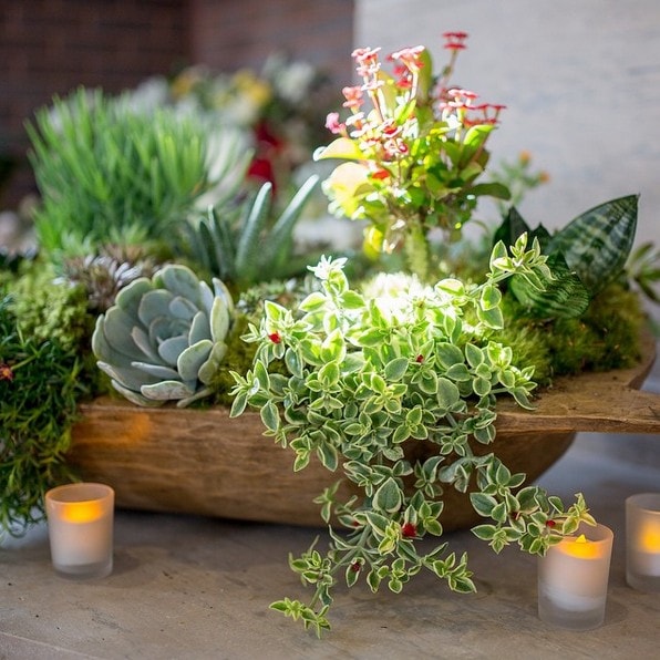 How To Style A Dough Bowl (For All Seasons) 