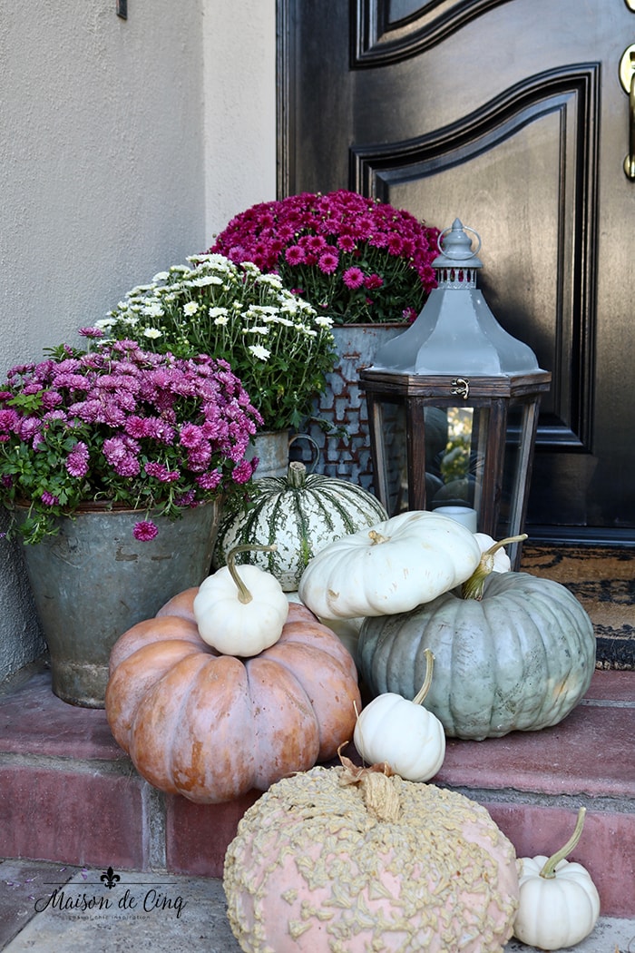 gorgeous pink mums with pumpkins and lantern fall porch decor 