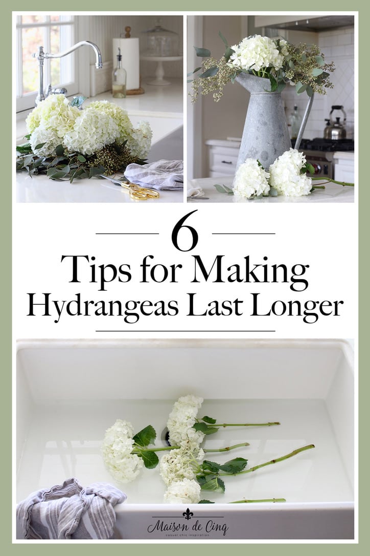 Six Tips for Making Cut Hydrangeas Last Longer