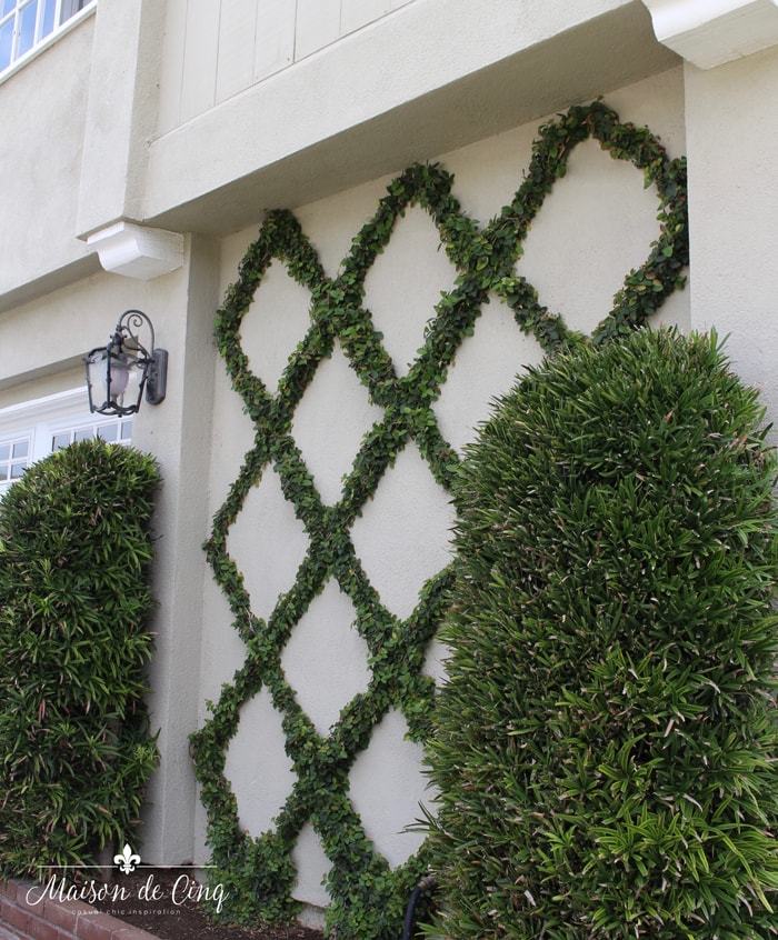 How to Make a Diamond Pattern Espalier: Creating a Belgian Fence