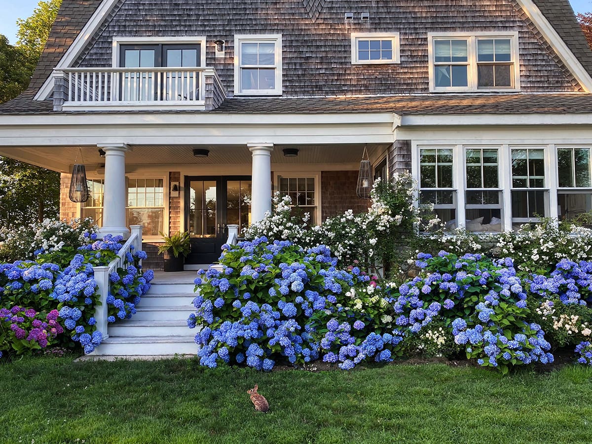 Stunning Classic Cape Cod Home - Inspiring Home Tour