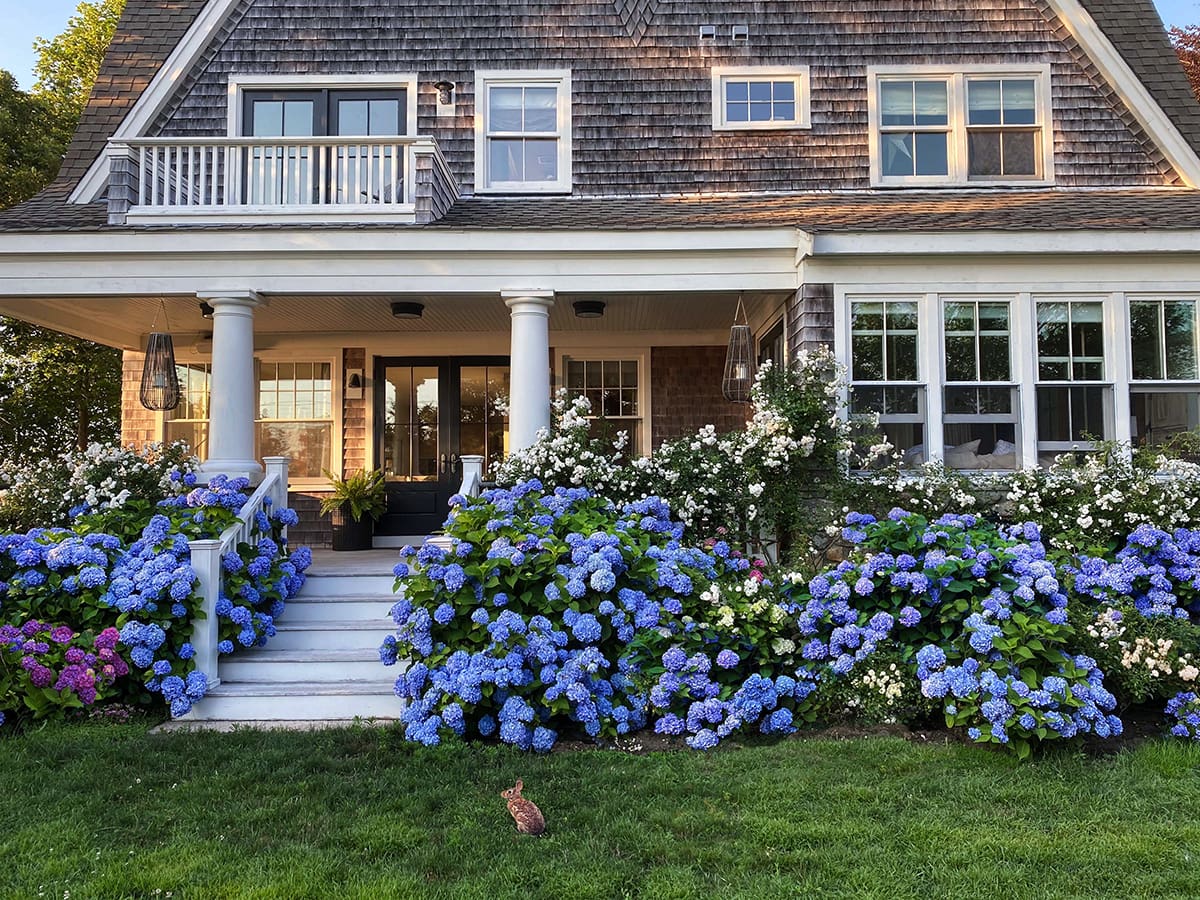 Stunning Classic Cape Cod Home Tour Maison de Cinq