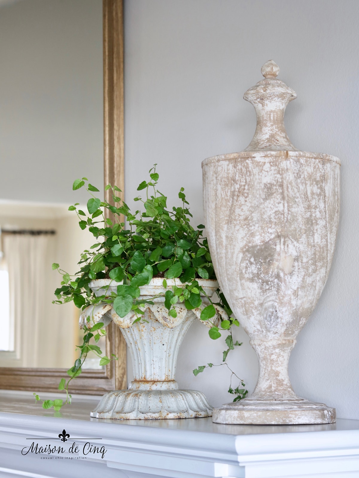 Decorating with Houseplants: 5 Easy Tips to Get you Started