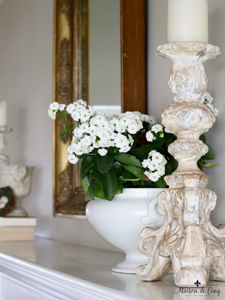 Decorating with Houseplants: 5 Easy Tips to Get you Started