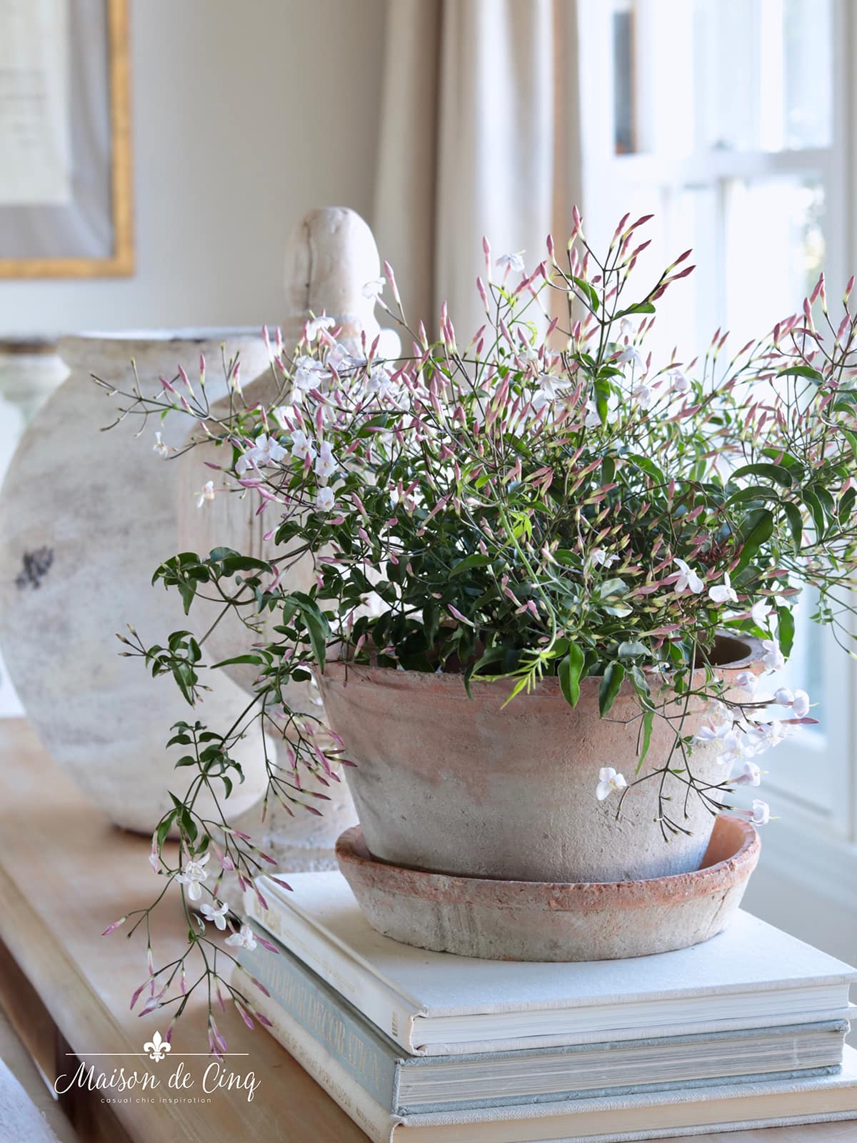 pretty pink jasmine in pot easy spring decorating ideas 